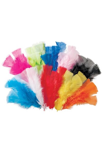 Feathers - Assorted (60g)