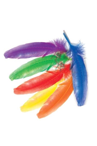 Feathers Goose 20cm - 8 Colours (Pack of 100)