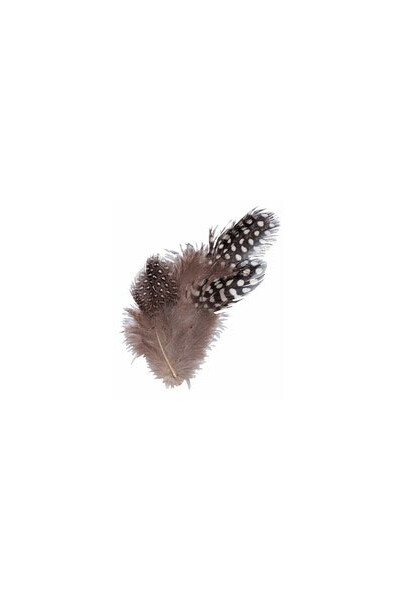 Guinea Fowl Feathers - Natural (10g)