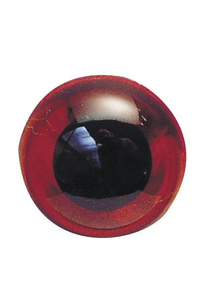 Teddy Bear Eyes - Amber (Pack of 10)