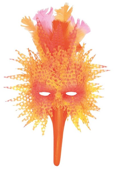 Papier Mache - Bird Mask