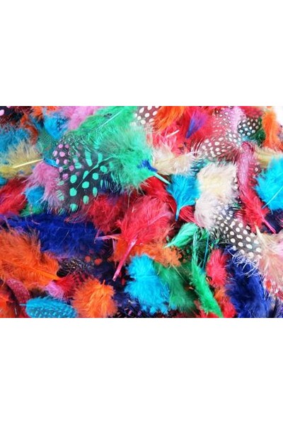 Feathers - Spotted: Assorted (25 gm)