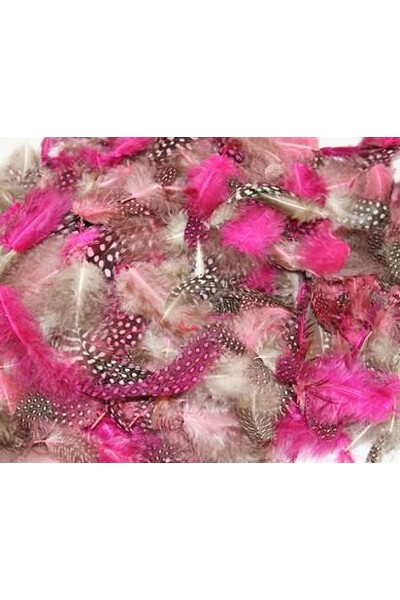 Feathers - Exotic: Pretty (25 gm)