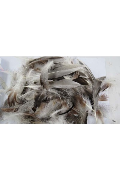 Feathers - Duck: Natural (10 gm)