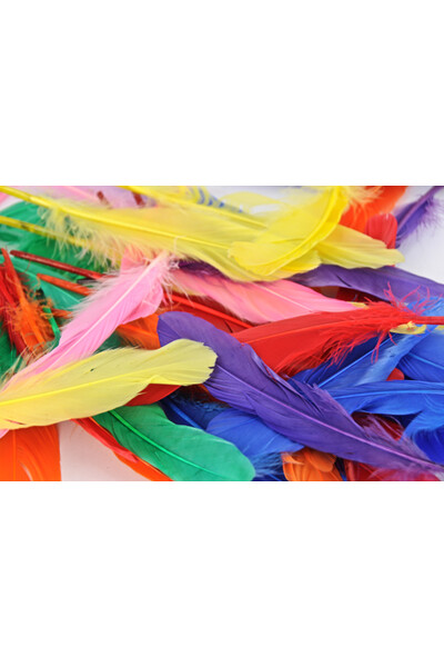 Feathers - Indian Quill: Plain (Pack of 50)