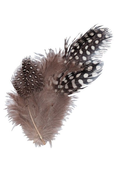 Feathers - Guinea Fowl: Natural (10g)
