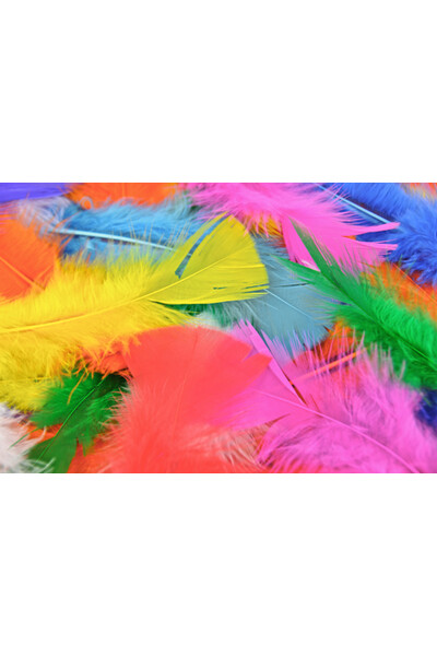 Feathers - Turkey: Assorted (Pack of 250)