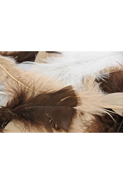 Feathers - Turkey: Animal (Pack of 250)