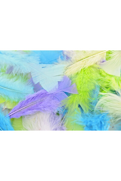 Feathers - Turkey: Pastel (Pack of 250)