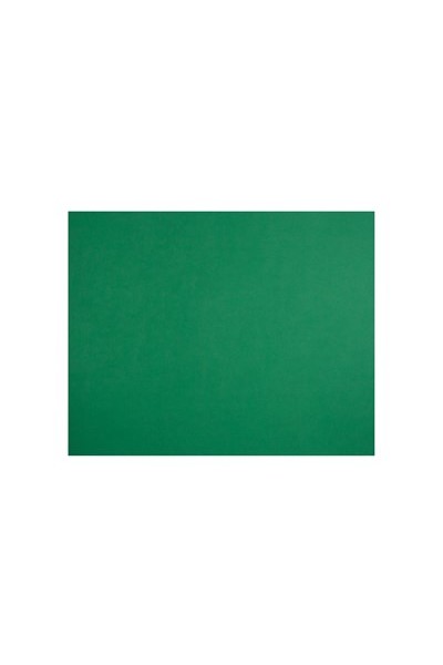 Quill Board 210gsm (510mm x 635mm): Pack 20 - Emerald