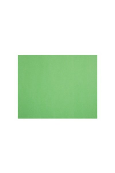 Quill Board 210gsm (510mm x 635mm): Pack 20 - Lime