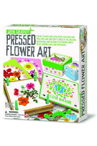 Pressed Flower Art