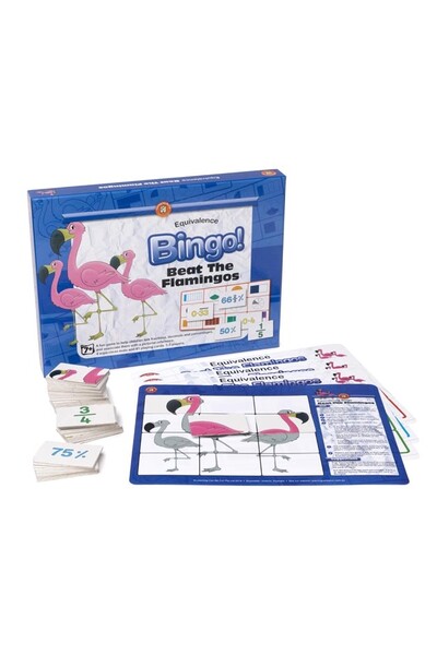 Beat The Flamingo - Equivalence Bingo!