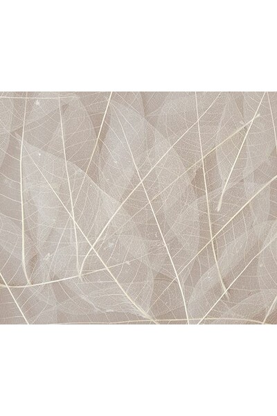 Skeleton Leaves - Natural (Pack of 100)