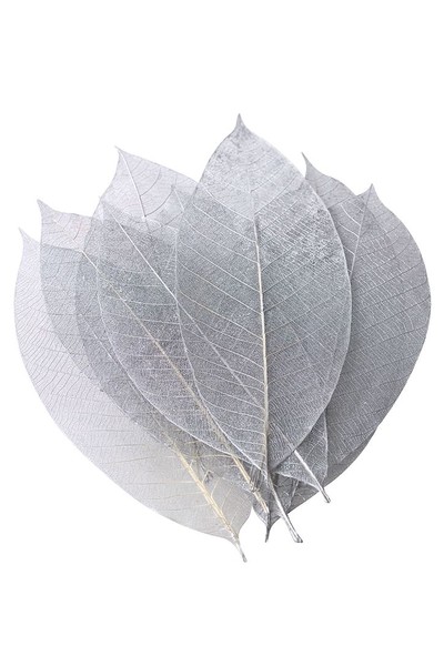 Skeleton Leaves - Silver (Pack of 50)