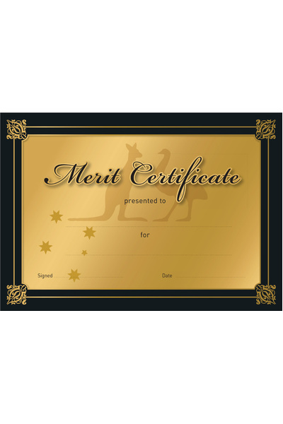 Gold Merit Certificate - Pack of 20 Cards (Previous Design)