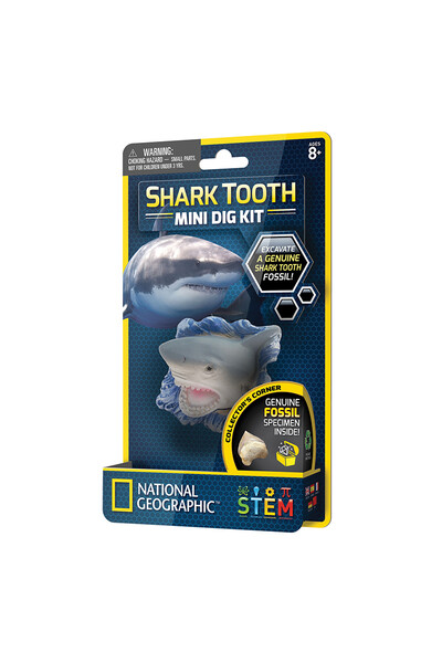 Shark Tooth - Mini Dig Kit
