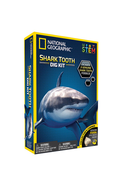 Shark Tooth - Dig Kit