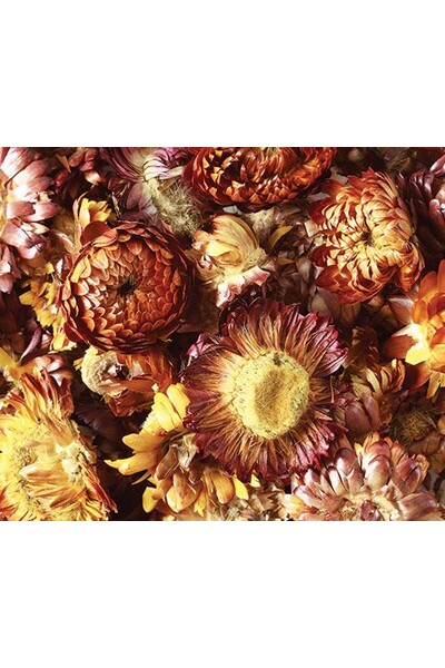 Dried Sun Flowers (50g)