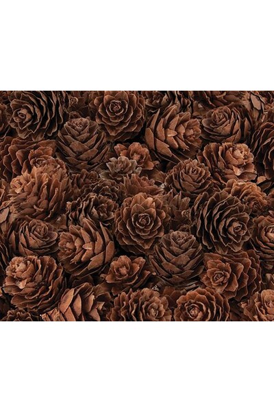 Pine Cones - Mini (190g)