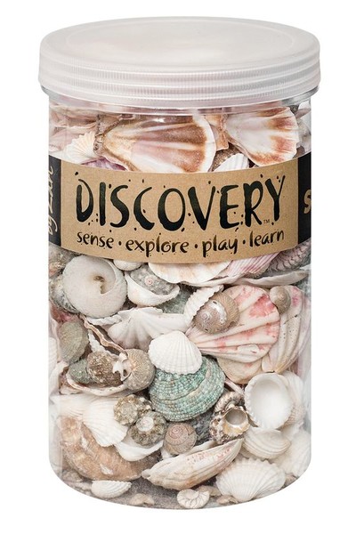 Sea Shells - Tub of 1kg