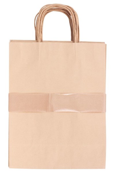 Paper Bags with Handle - Medium (Pack of 10)