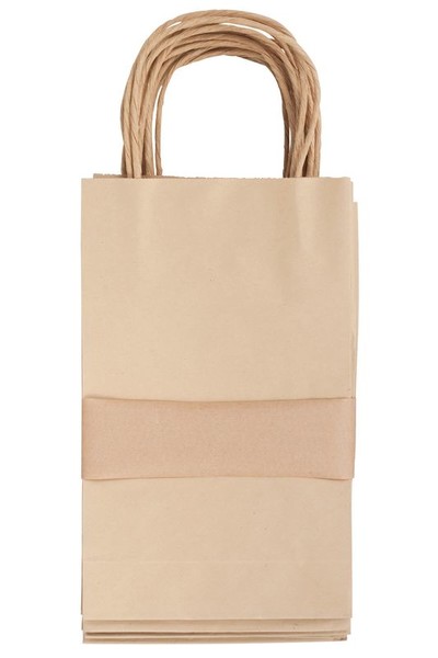 Paper Bags with Handle - Small (Pack of 10)