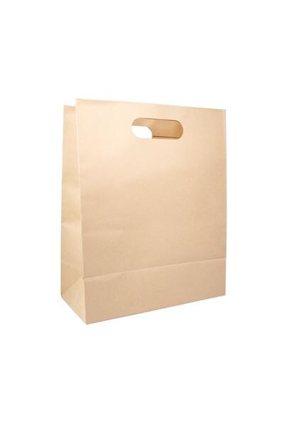 Paper Bags Large - Brown (Pack of 10)