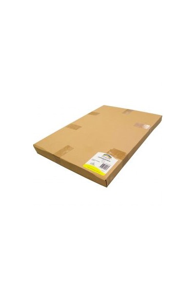 Rainbow Premium Cartridge Paper - A2 (110gsm): Pack of 250