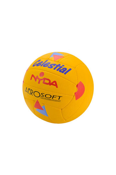 NYDA Celestial Volleyball
