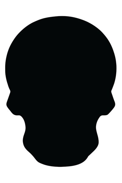 Scratch Skulls - Pack of 24