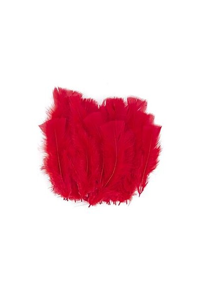 Little Feathers - Turkey: Red (10 gm)