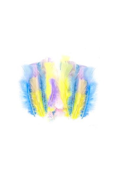Little Feathers - Turkey: Pastel (10 gm)