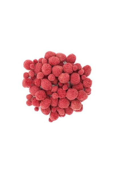 Little Pom Poms Assorted - Red (Pack of 100)