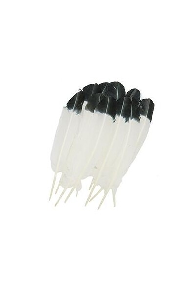 Little Feathers - Turkey: White w/Black Tip (Pack of 8)