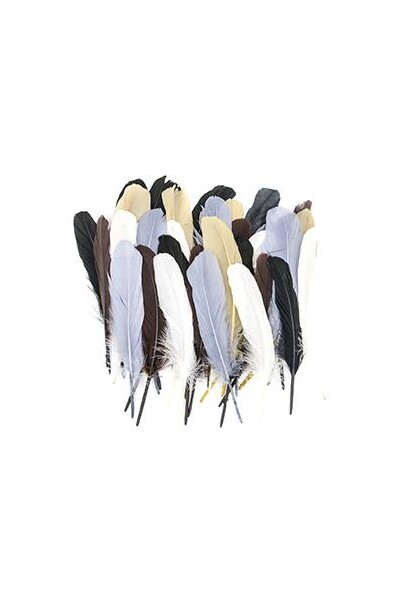 Little Feather - Turkey Quills: Animal (Pack of 50)