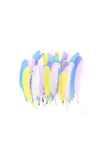 Little Feather - Quills: Pastel (Pack of 50)