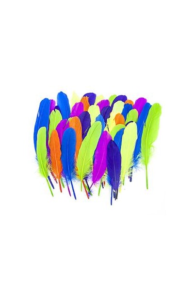 Little Feather - Quills: Fluoro (Pack of 50)