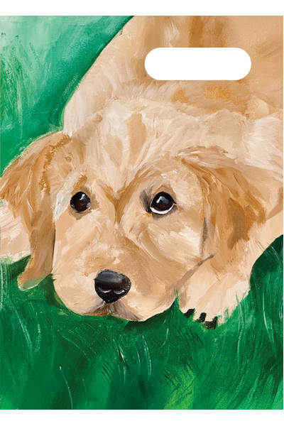 A4 Book Cover - My Dream Puppy