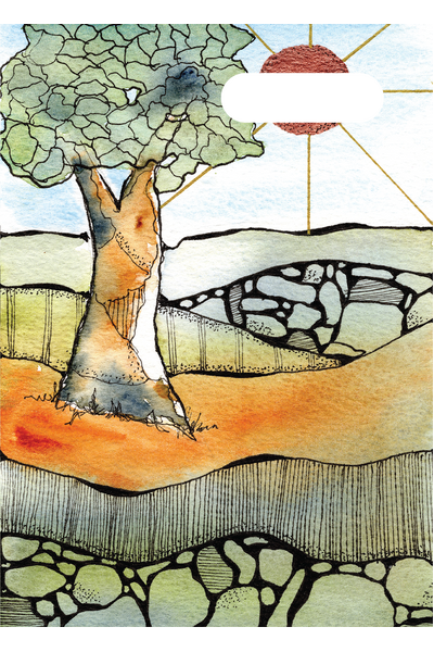 A4 Book Cover - Flinders Rangers Magic