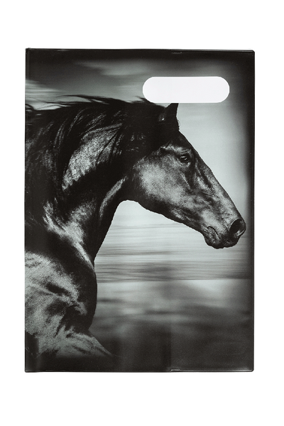 A4 Book Cover - Black & White Horses 5