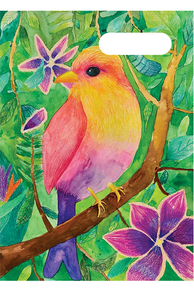 A4 Book Cover - A Tropical Bird