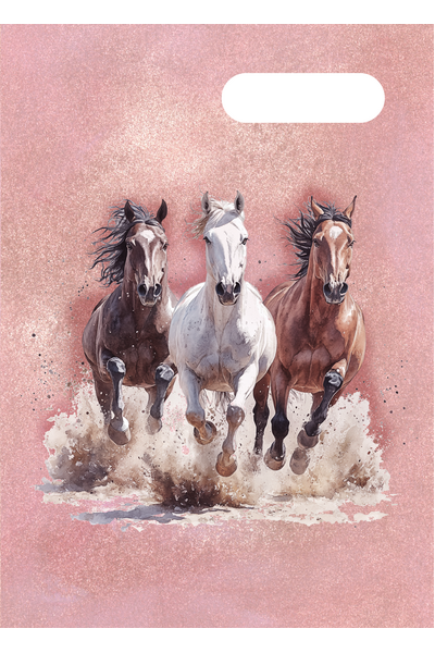 A4 Book Cover - Wild Horses