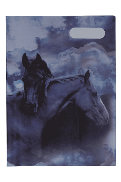 Scrapbook Cover - Sky Dancer