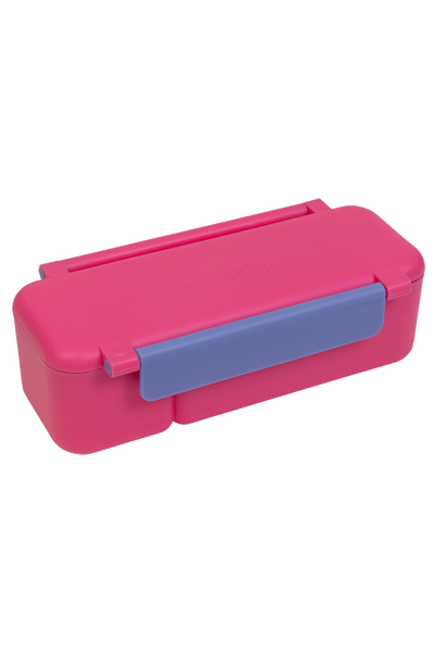 Snack Attack Box - Fuchsia