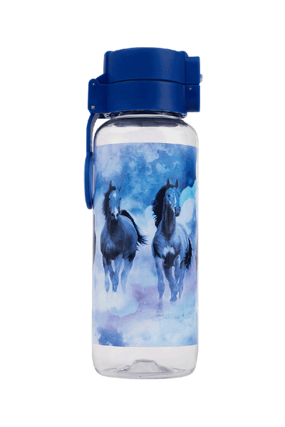 Big Water Bottle - 650ml - Sky Dancer