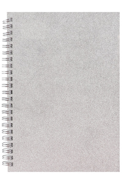 Stylex Notebook - Time to Shine (A5): Glitter Silver (120 Pages)