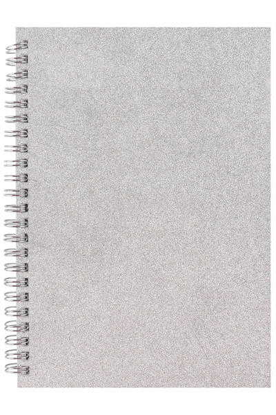 Stylex Notebook - Time to Shine (A5): Glitter Silver (120 Pages)
