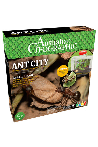 Ant City