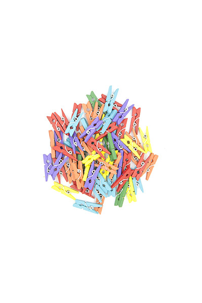 Little Wood Pegs - Tiny: Coloured (Pack of 60)